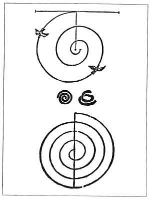FIGURE 14. <i>Spiral forms</i>.