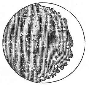 FIGURE 39. <i>The first drawing of the Moon</i>, by Galileo, 1610.<br> (From <i>The Discovery of a World in the Moone</i>; John Wilkins, 1638.)
