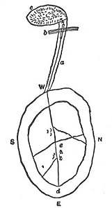 FIGURE 47. <i>Sketch of the World, by a Thompson River Indian</i>.