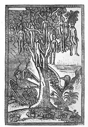 PLATE XIX. THE WAKWAK TREE<br> (From <i>Tarikh</i> al-Hind al-Gharbi. Constantinople, 1729)