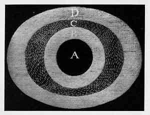 PLATE XXX. ''A DIVIDED EGG, OR EARTH.''<br> (From The Theory of the Earth; Thomas Burnet, 1697)