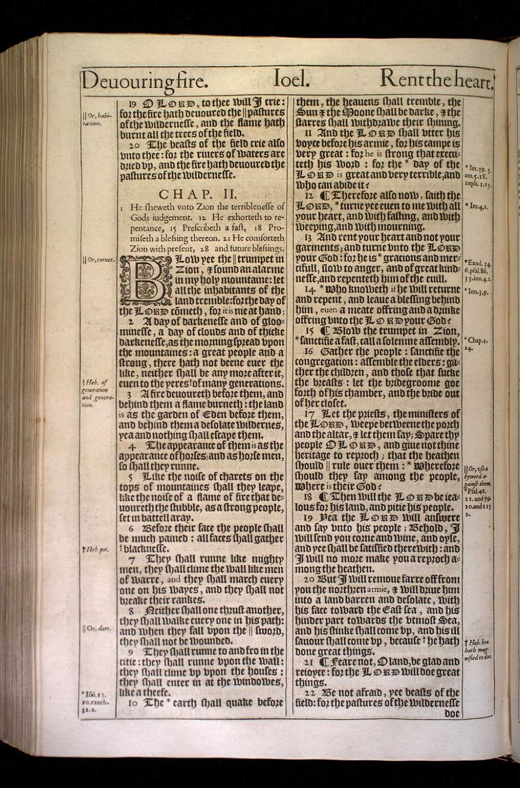 King James Bible: Joel