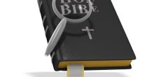 Bible search